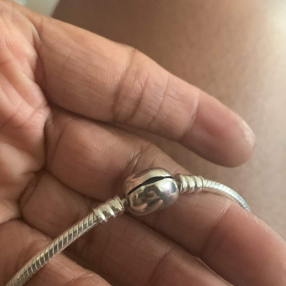 Size 45 authentic Pandora snake chain necklace with all these charms